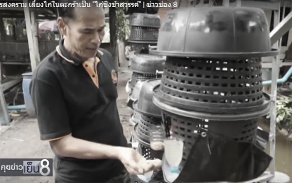 เลี้ยงไก่ชิงช้าสวรรค์ สร้างรายได้มหาศาล เลี้ยงไก่ชิงช้าสวรรค์ สร้างรายได้มหาศาล