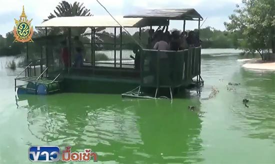 เจ้าของประกาศท้า !! จัดทีมล่องเรือตกจระเข้ ถ้าเรือล่มจ่ายสดทันที 5 ล้าน เจ้าของประกาศท้า !! จัดทีมล่องเรือตกจระเข้ ถ้าเรือล่มจ่ายสดทันที 5 ล้าน