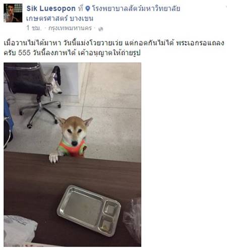 ผลตรวจ ปู่ลอยด์ สัตวแพทย์ยันขาขาดเพราะของมีคม ไม่ใช่โดนกัด ผลตรวจ ปู่ลอยด์ สัตวแพทย์ยันขาขาดเพราะของมีคม ไม่ใช่โดนกัด