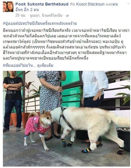 ผลตรวจ ปู่ลอยด์ สัตวแพทย์ยันขาขาดเพราะของมีคม ไม่ใช่โดนกัด ผลตรวจ ปู่ลอยด์ สัตวแพทย์ยันขาขาดเพราะของมีคม ไม่ใช่โดนกัด