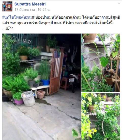 คนรักสัตว์แห่ช่วย เจ้าปาร์แมน สุนัขถูกขังในกรงโบกปูนนานกว่า 5 ปี คนรักสัตว์แห่ช่วย เจ้าปาร์แมน สุนัขถูกขังในกรงโบกปูนนานกว่า 5 ปี