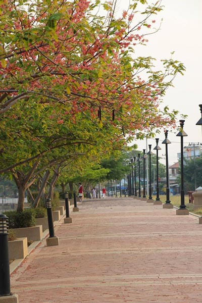 ซากุระบุรีรัมย์ ซากุระบุรีรัมย์