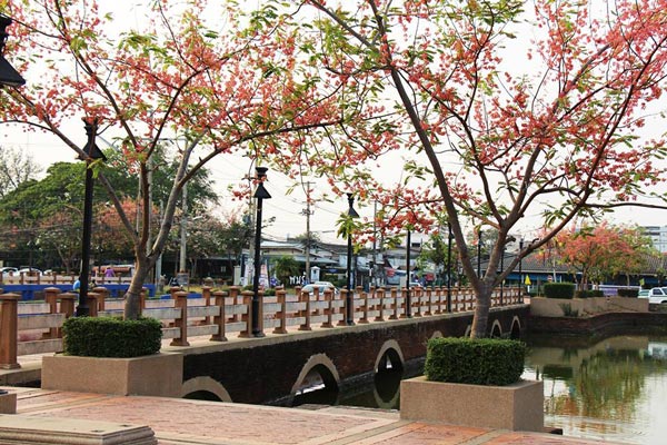 ซากุระบุรีรัมย์ ซากุระบุรีรัมย์
