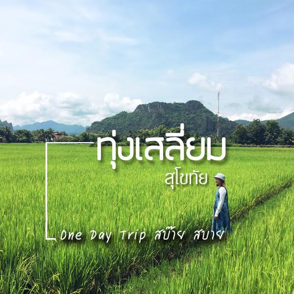 ทุ่งเสลี่ยม สุโขทัย ทุ่งเสลี่ยม สุโขทัย