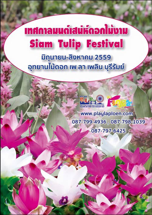 เทศกาลมนต์เสน่ห์ดอกไม้งาม Siam Tulip