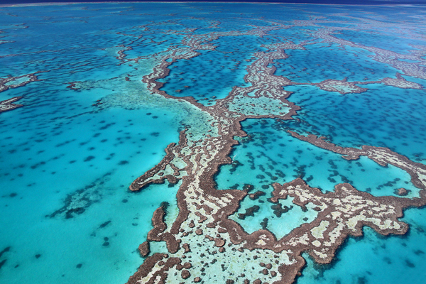 Great Barrier Reef Great Barrier Reef