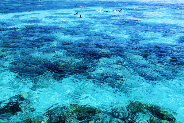 Great Barrier Reef Great Barrier Reef