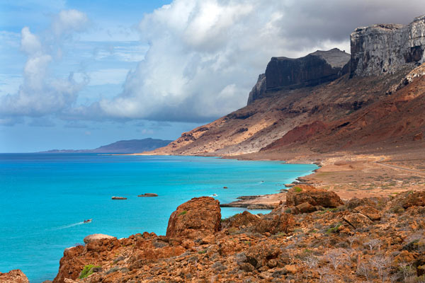 เกาะ Socotra เกาะ Socotra
