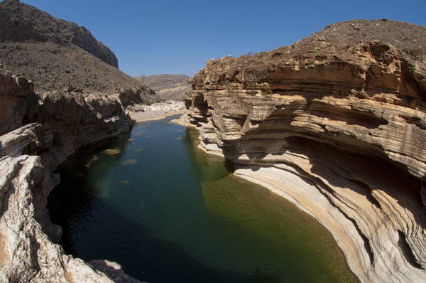 เกาะ Socotra เกาะ Socotra
