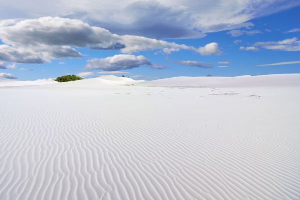 เกาะ Socotra เกาะ Socotra
