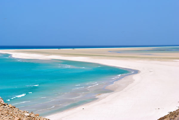 เกาะ Socotra เกาะ Socotra