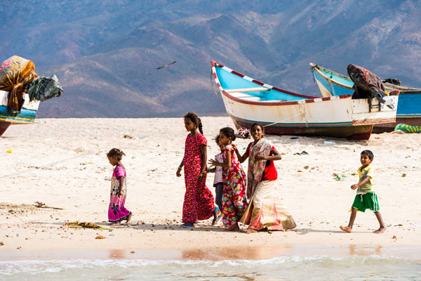 เกาะ Socotra เกาะ Socotra