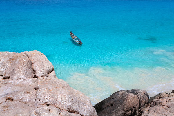 เกาะ Socotra เกาะ Socotra