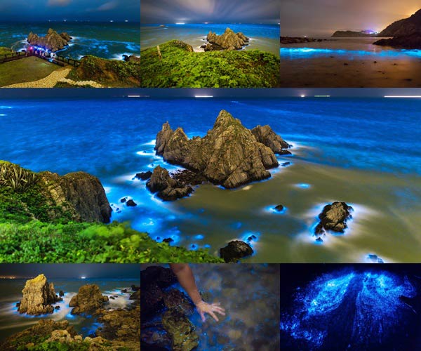 ทะเลเรืองแสงสีฟ้า หมู่เกาะ Matsu