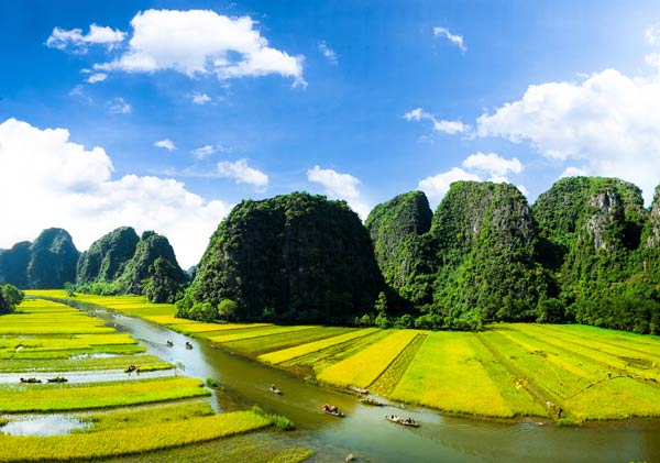 เวียดนาม เวียดนาม