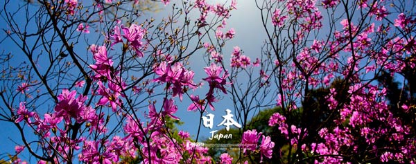 เที่ยวญีปุ่น เที่ยวญีปุ่น