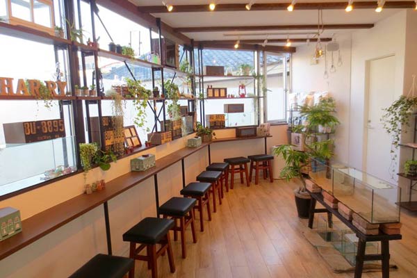 คาเฟ่เม่น โตเกียว คาเฟ่เม่น โตเกียว