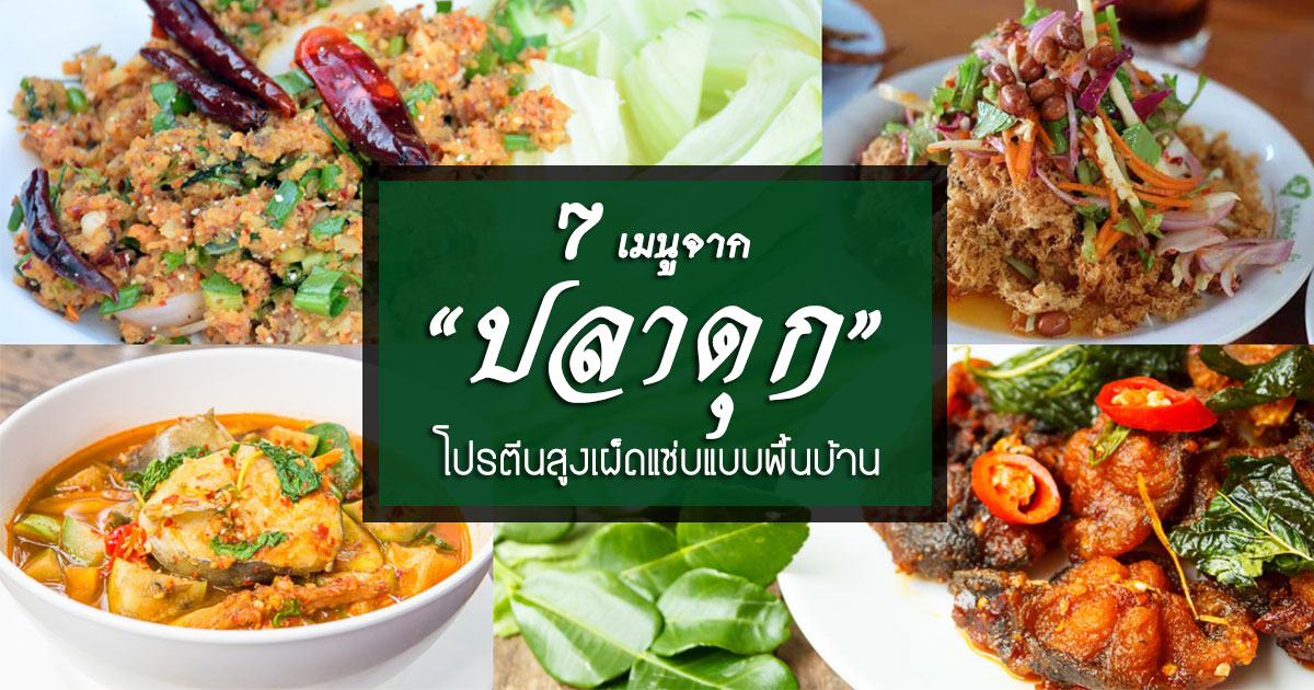 เมนูปลาดุก เมนูปลาดุก