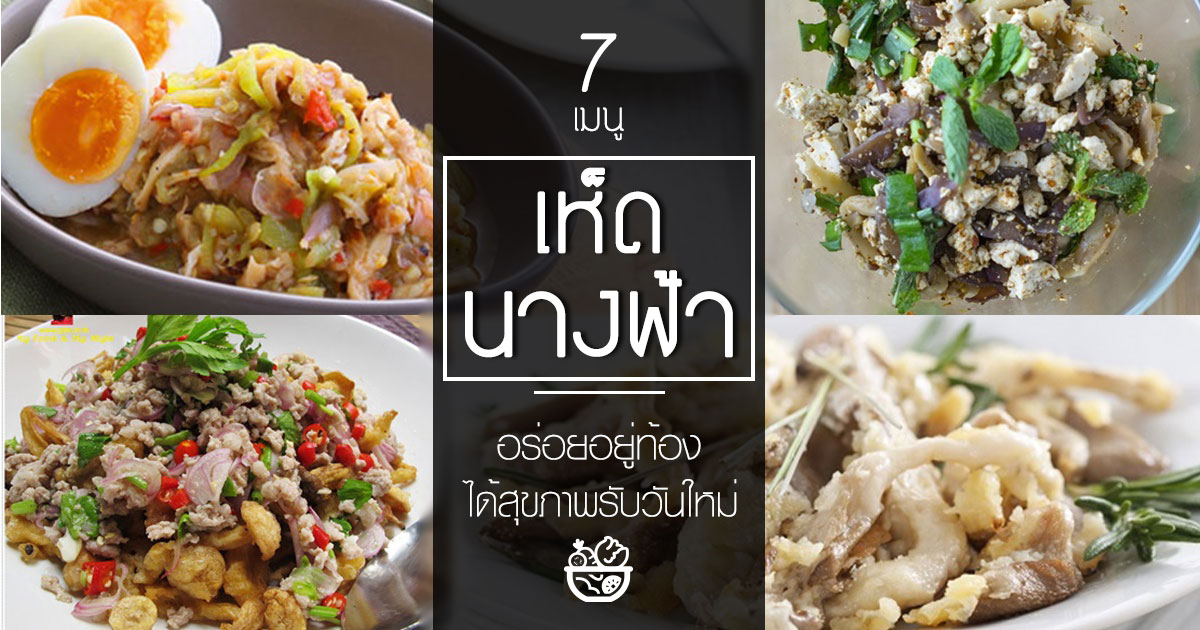 เห็ดนางฟ้า เห็ดนางฟ้า