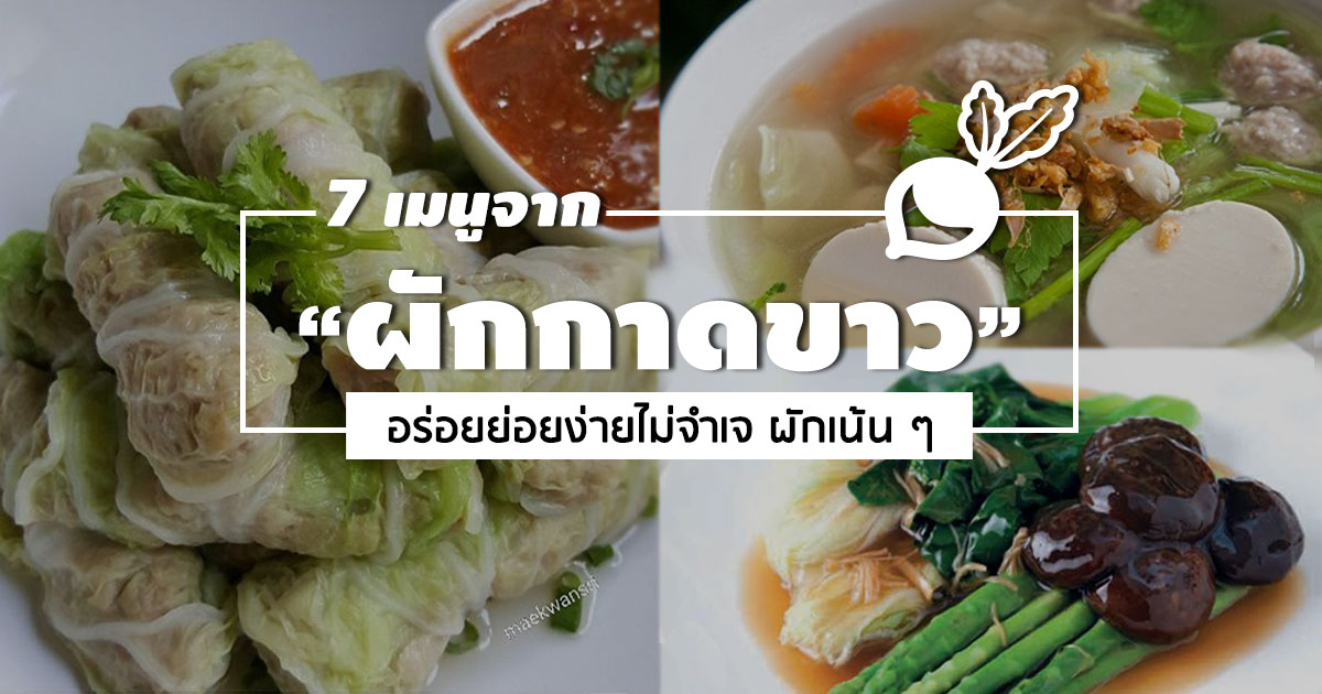 ผักกาดขาว ผักกาดขาว