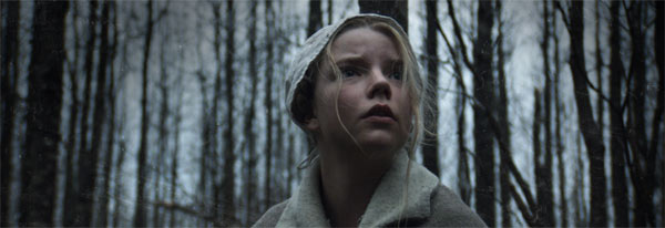 The Witch The Witch