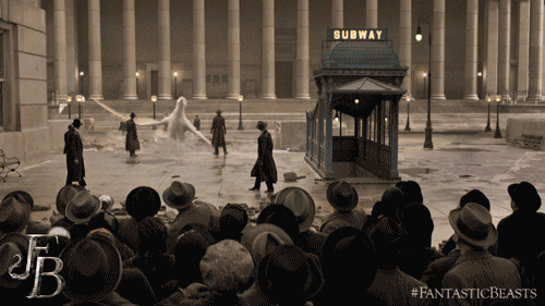 Fantastic Beasts Fantastic Beasts