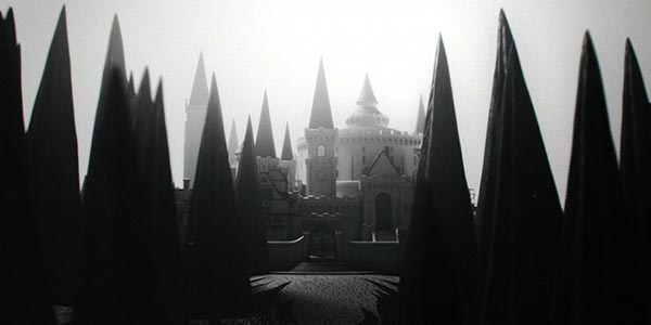fantastic beasts vs harry potter fantastic beasts vs harry potter