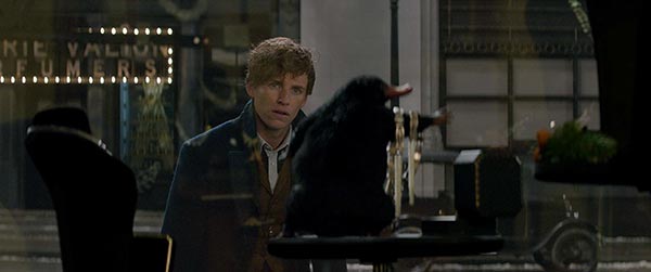 Fantastic Beasts Fantastic Beasts