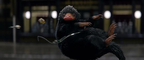 Fantastic Beasts Fantastic Beasts