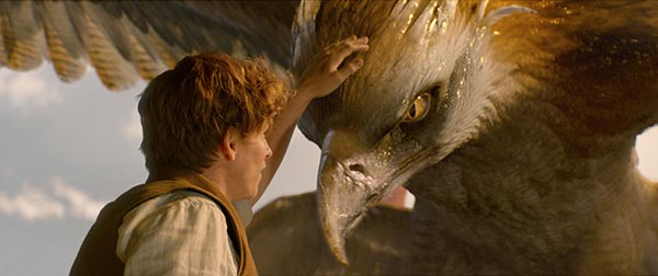 Fantastic Beasts Fantastic Beasts