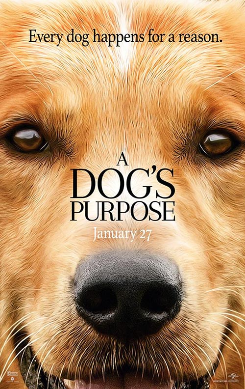 A Dog\'s Purpose