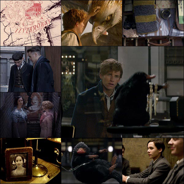 Fantastic Beasts Easter Eggs