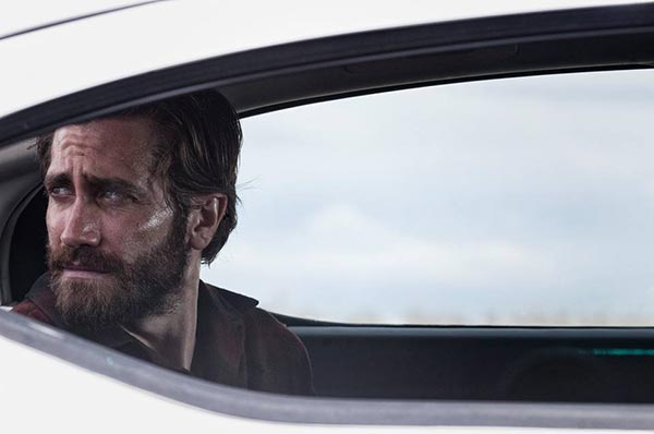 Nocturnal Animals