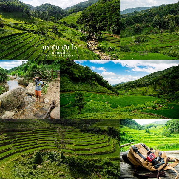 นาขั้นบันไดนางแลใน นาขั้นบันไดนางแลใน
