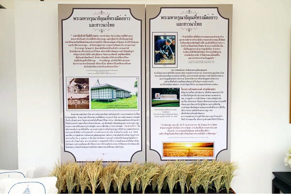 ข้าวรัชมงคล ข้าวรัชมงคล