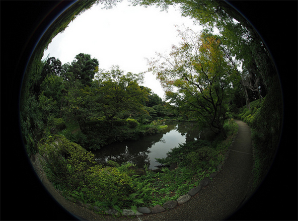 เลนส์ Fisheye เลนส์ Fisheye