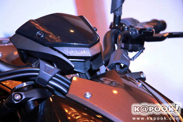 Kawasaki Z1000R Kawasaki Z1000R