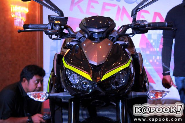 Kawasaki Z1000R Kawasaki Z1000R