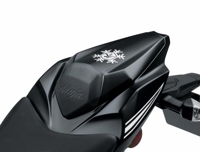 Kawasaki Ninja ZX-10RR 2017 Kawasaki Ninja ZX-10RR 2017