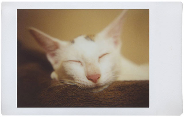 Lomo\'Instant Automat Lomo\'Instant Automat