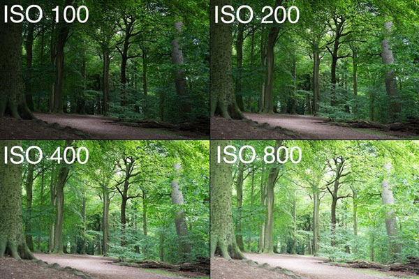 ISO ISO