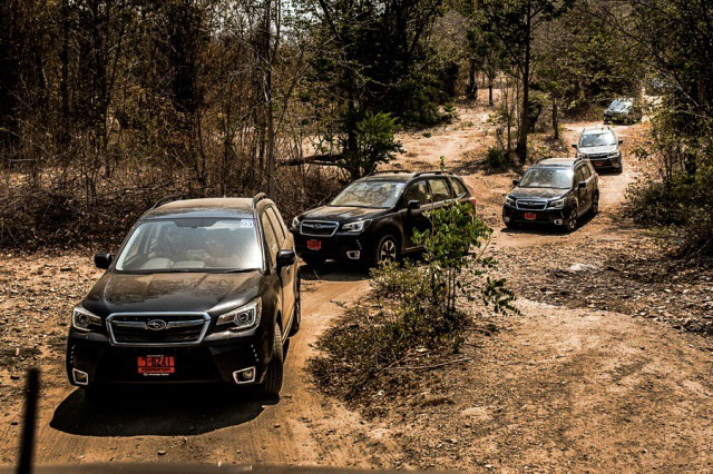 Subaru Forester 2016 Subaru Forester 2016