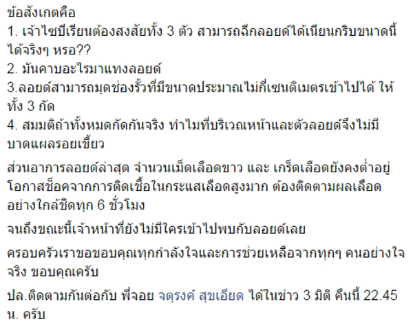 เจ้าของเชื่อ หมาชิบะขาขาด ไม่ได้โดนไซบีเรียนรุมฟัด แต่โดนมีดเฉือนกระชาก เจ้าของเชื่อ หมาชิบะขาขาด ไม่ได้โดนไซบีเรียนรุมฟัด แต่โดนมีดเฉือนกระชาก