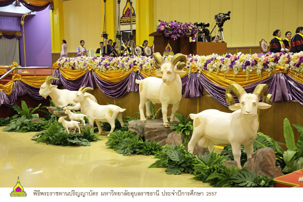 พระแท่นงานพิธีพระราชทานปริญญาบัตร ม.อุบลราชธานี