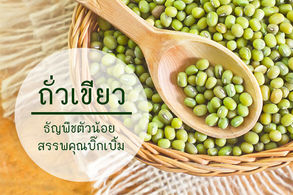 ถั่วเขียว ถั่วเขียว