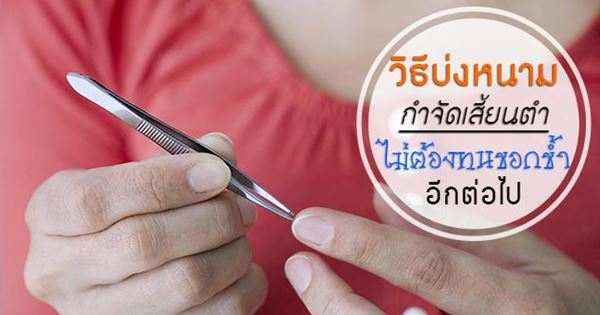 เสี้ยนตํา เสี้ยนตํา