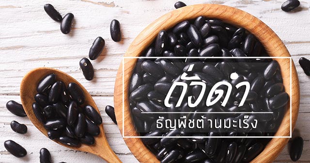 ถั่วดํา ถั่วดํา