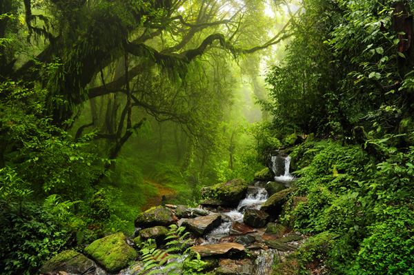 วิธีคลายเครียด ด้วย รูปภาพสวยๆ วิธีคลายเครียด ด้วย รูปภาพสวยๆ