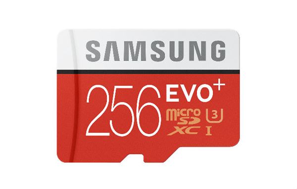 EVO Plus 256GB microSD Card