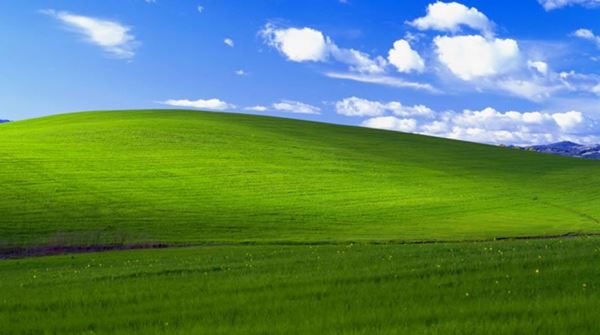 Wallpaper ทุ่งหญ้า Wallpaper ทุ่งหญ้า